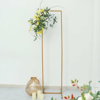 Photography Backdrop Stands | Slim Gold Metal Frame Arch, Rectangular Backdrop Stand, Floral Display Frame 5.5ft Curtains gold