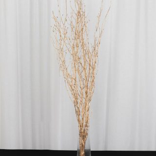 Vase Fillers | 6 Pack Decorative Birch Tree Branches, Extra Long Natural Dried Willow Twigs Sticks Vase Fillers – 46" Vase & Planter gold